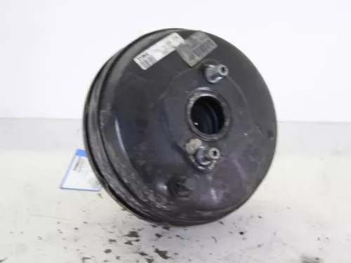 Rembekrachtiger-7886599