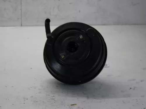 Rembekrachtiger-7615694