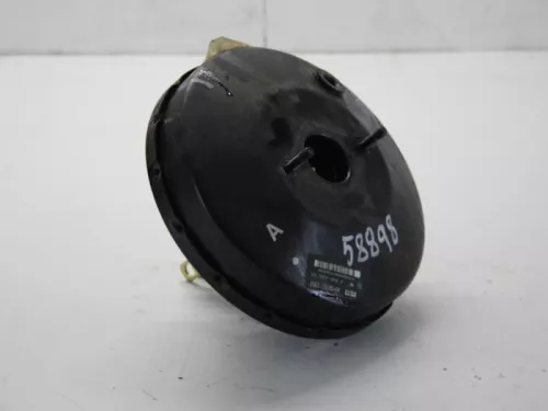 Rembekrachtiger-7879040