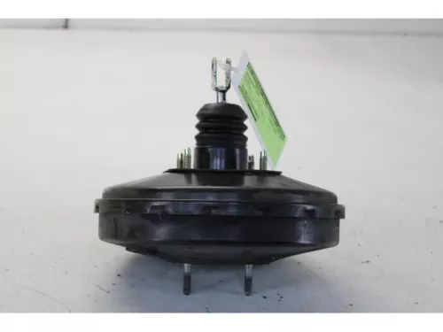 Rembekrachtiger-7878944