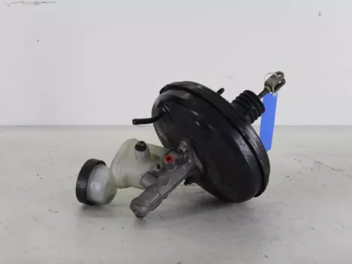 Rembekrachtiger-7887877