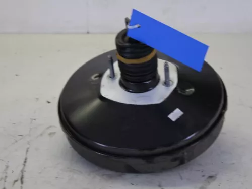 Rembekrachtiger-7884409