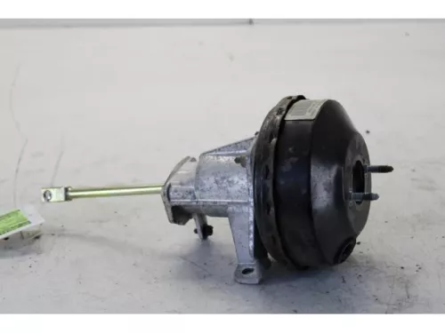 Rembekrachtiger-7878808