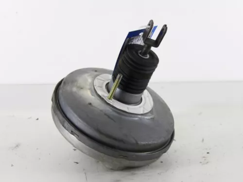 Rembekrachtiger-7888670