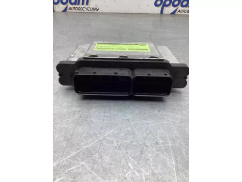 Computer Motormanagement-8316524 (22671194)