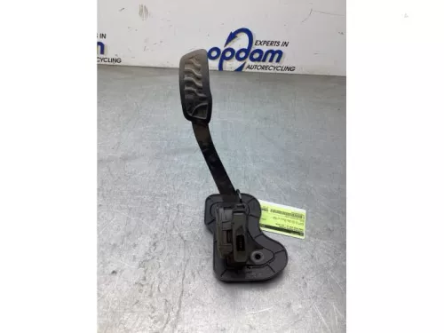 Gaspedaalpositie Sensor-8180900 (22685578)