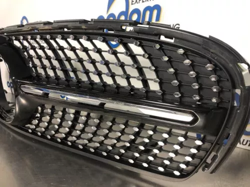 Grille- (19158393)