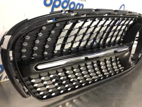 Grille- (19158393)