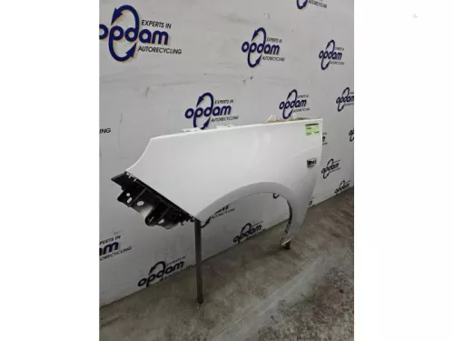Scherm links-voor-8220600 (21637130)