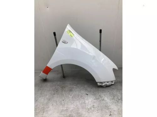 Scherm rechts-voor-7614963 (16581442)