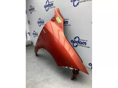 Scherm rechts-voor-8202406 (21758116)