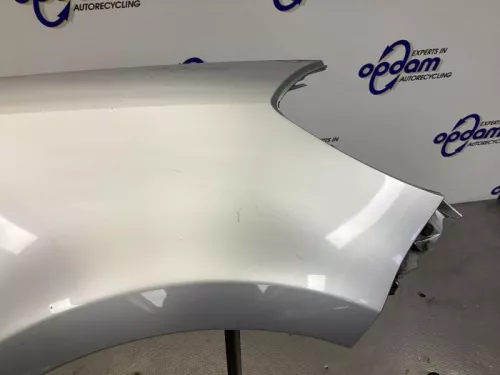 Scherm rechts-voor-8179030 (21280027)