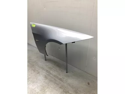 Scherm rechts-voor-7427445 (18516212)