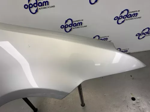 Scherm rechts-voor-8232343 (21278400)