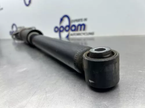 Schokdemper links-achter-8224794 (22357076)