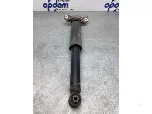 Schokdemperpoot links-achter-6919003 (17739750)