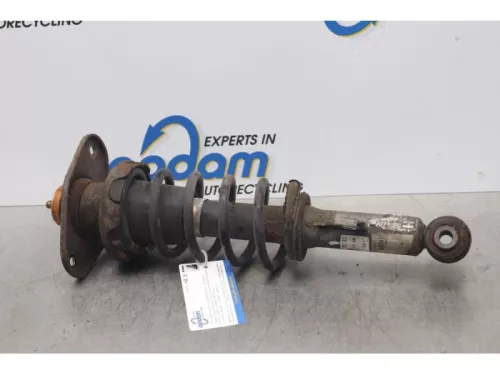 Schokdemperpoot links-achter-7611835 (14211843)