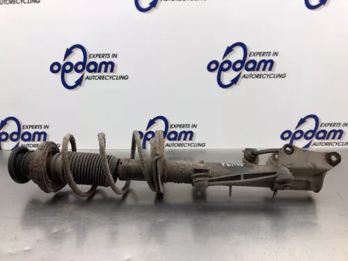 Schokdemperpoot links-achter-8199795