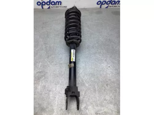 Schokdemperpoot links-voor-7934687 (19105024)