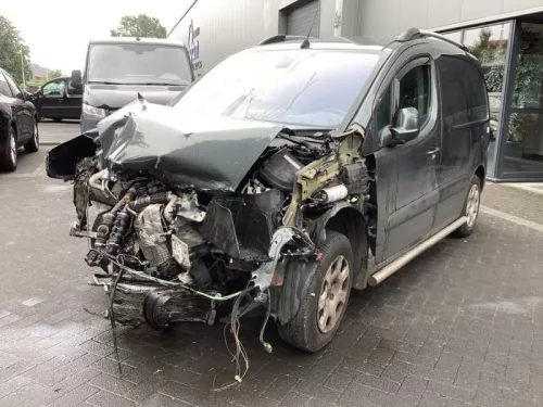 Schokdemperpoot links-voor-8203659 (22123965)