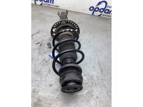 Schokdemperpoot links-voor-8185065 (22020586)