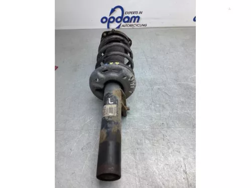 Schokdemperpoot links-voor-7977705 (20589644)