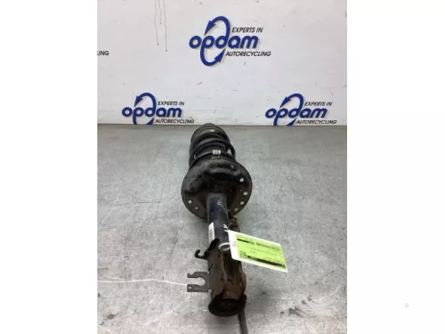 Schokdemperpoot links-voor-8284695