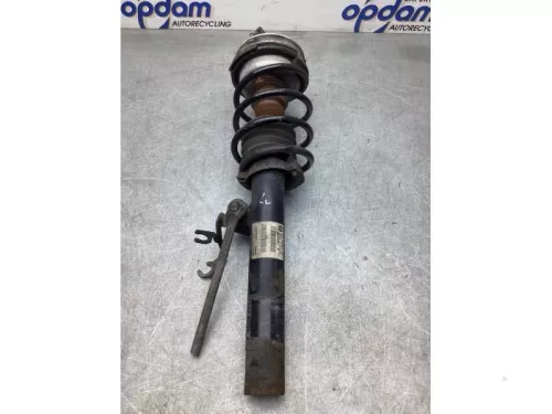 Schokdemperpoot links-voor-8063467