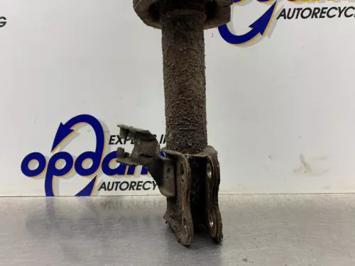 Schokdemperpoot links-voor-8251398 (21505604)