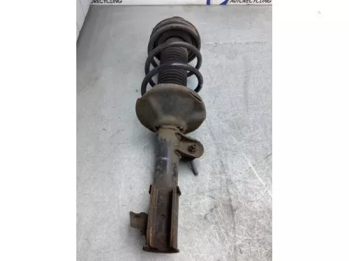 Schokdemperpoot links-voor-8026114