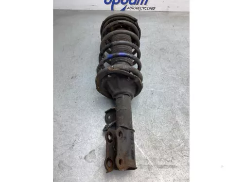 Schokdemperpoot links-voor-7428763 (18545674)