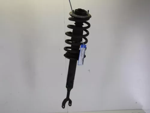 Schokdemperpoot links-voor-7884920 (7980053)
