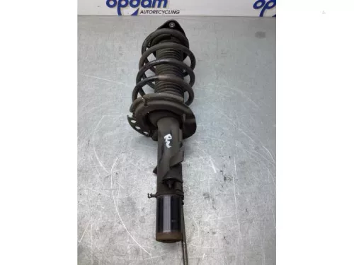 Schokdemperpoot rechts-voor-7993450