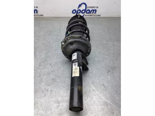 Schokdemperpoot rechts-voor-8090279
