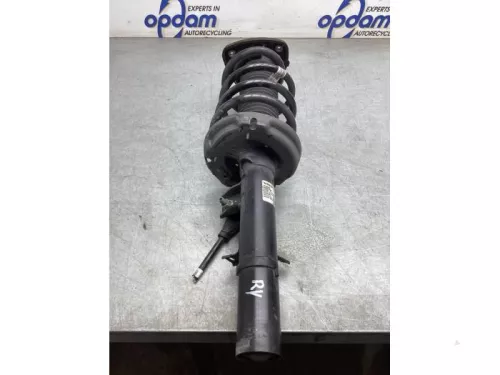 Schokdemperpoot rechts-voor-8160577
