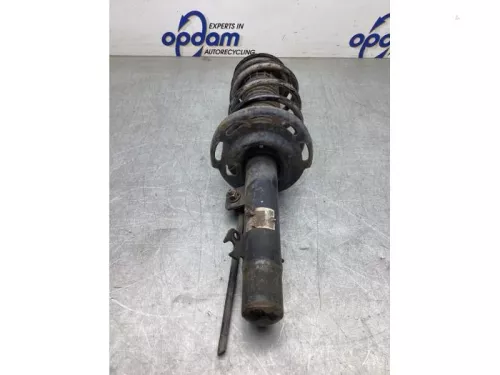 Schokdemperpoot rechts-voor-8060473 (20782155)