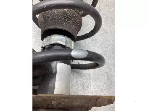 Schokdemperpoot rechts-voor-8120674 (20429350)