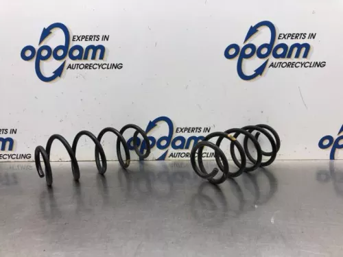 Schroefveer achter-8069878