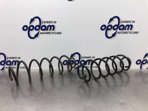 Schroefveer achter-8187622