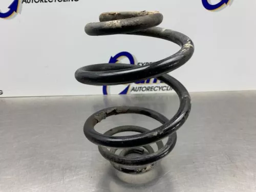 Schroefveer achter-8241369 (21372954)