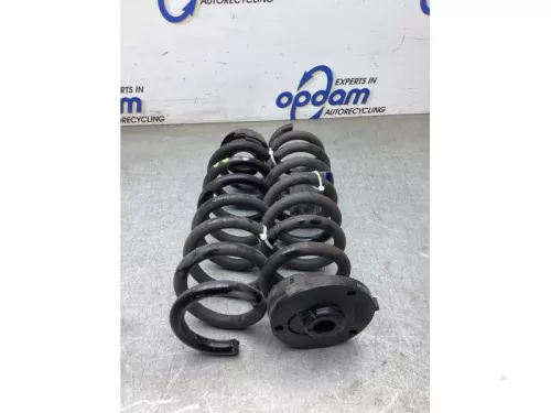 Schroefveer achter-8296650 (22308956)