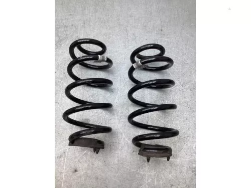 Schroefveer achter-8093675