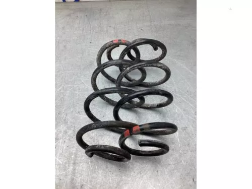 Schroefveer achter-8117442