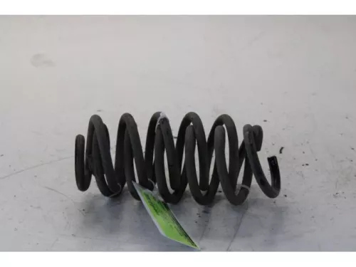 Schroefveer achter-7879004