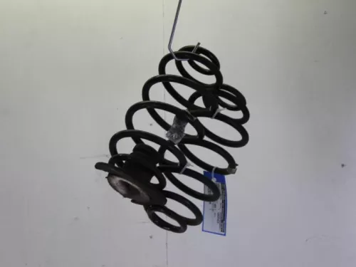 Schroefveer achter-7884058 (8741649)