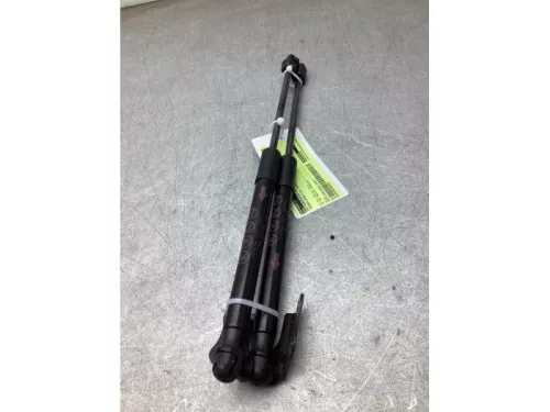 Set Gasdempers Achterklep-8291803 (22390231)
