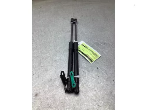 Set Gasdempers Achterklep-8291803 (22390231)