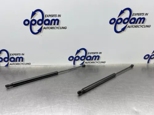Set Gasdempers Achterklep-8246769 (22152595)