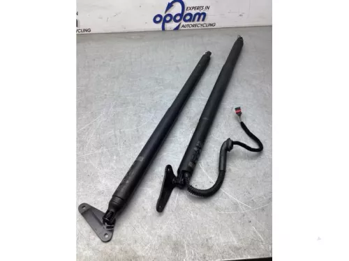 Set Gasdempers Achterklep-8029563 (20283512)