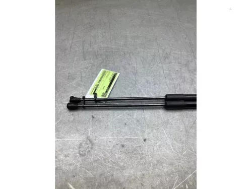 Set Gasdempers Achterklep-8282910 (22451428)